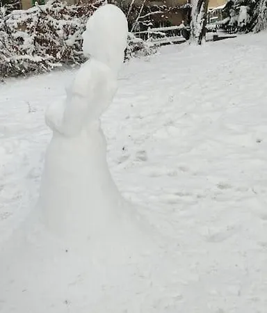 La Maison Aux Volets Ferienhaus