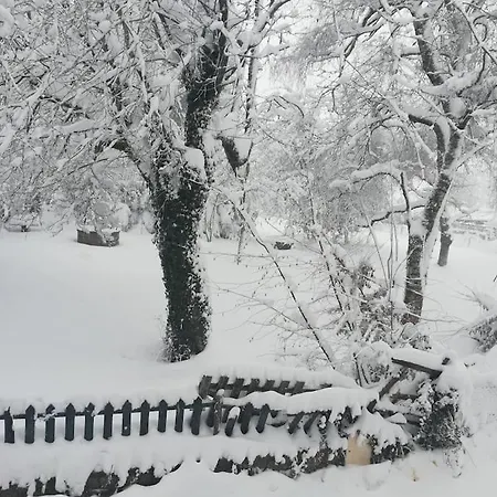 La Maison Aux Volets Chameane